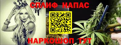 PSILOCYBIN Будённовск