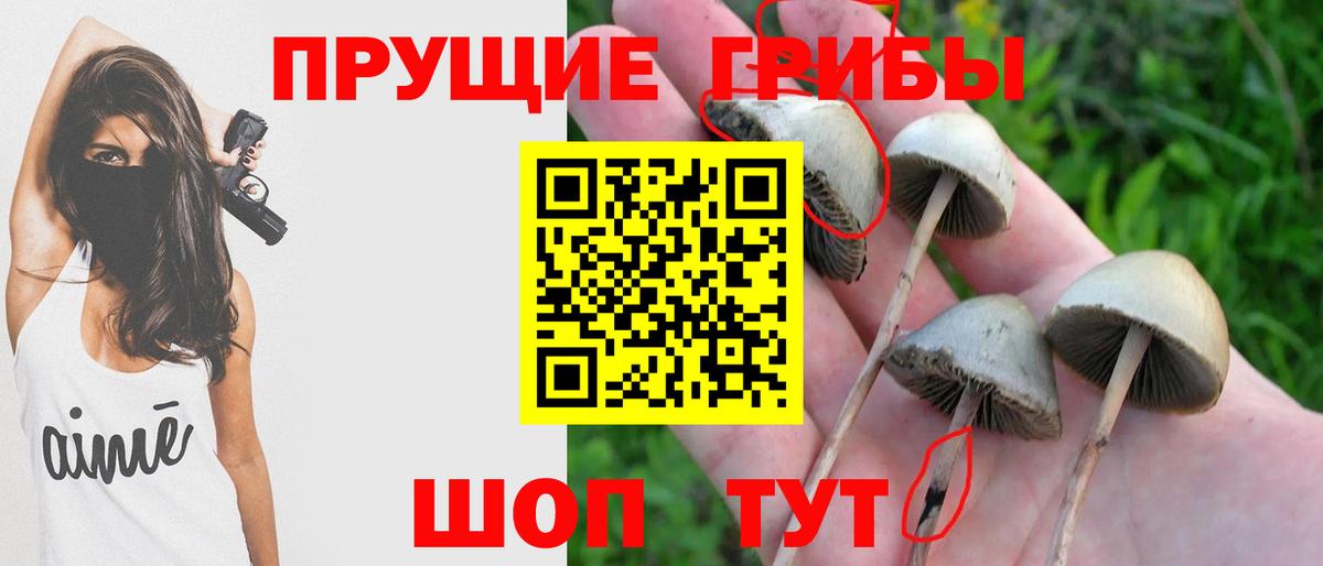 Псилоцибиновые грибы Psilocybe  Вход с VPN  Прокопьевск  даркнет сайт  Галлюциногенные грибы Psilocybine cubensis 